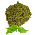 Poudre de thé vert biologique pour le thé en vrac